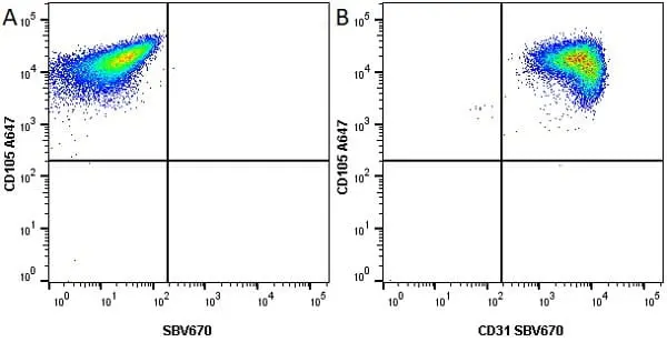 Anti Human CD105 Antibody, clone SN6 gallery image 23