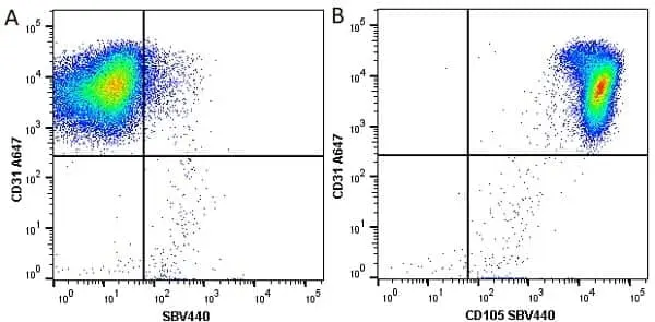 Anti Human CD105 Antibody, clone SN6 gallery image 26