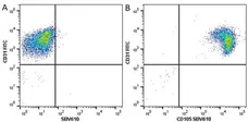 Anti Human CD105 Antibody, clone SN6 gallery image 28