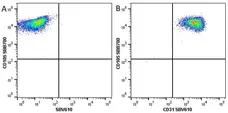 Anti Human CD105 Antibody, clone SN6 gallery image 29