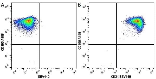 Anti Human CD105 Antibody, clone SN6 gallery image 29