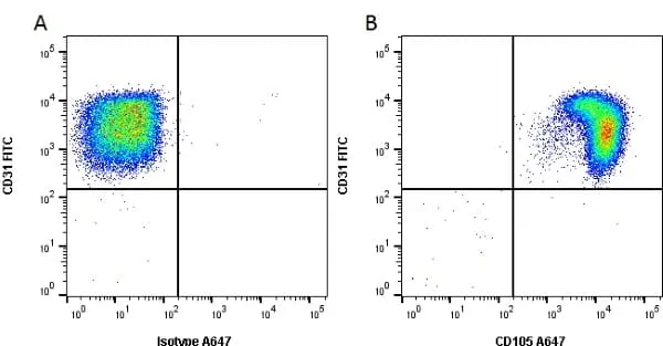 Anti Human CD105 Antibody, clone SN6 gallery image 3