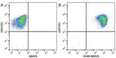 Anti Human CD105 Antibody, clone SN6 gallery image 30