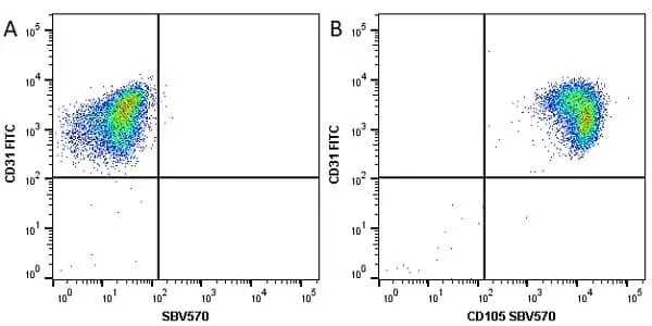 Anti Human CD105 Antibody, clone SN6 gallery image 30