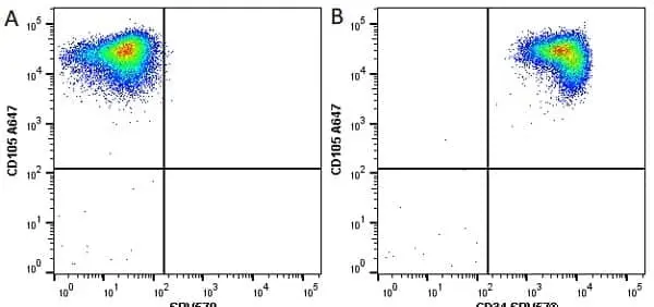 Anti Human CD105 Antibody, clone SN6 gallery image 31