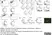 Anti Human CD105 Antibody, clone SN6 thumbnail image 33
