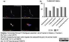 Anti Human CD105 Antibody, clone SN6 gallery image 34