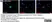 Anti Human CD105 Antibody, clone SN6 thumbnail image 35