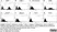 Anti Human CD105 Antibody, clone SN6 thumbnail image 36