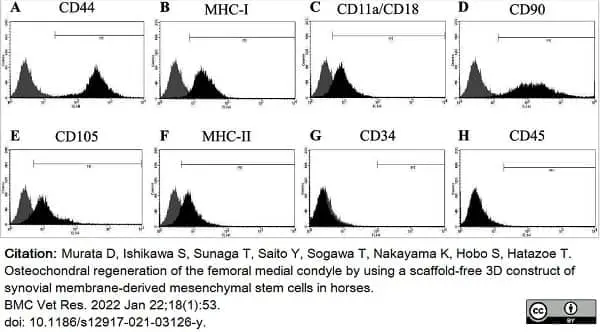 Anti Human CD105 Antibody, clone SN6 gallery image 36