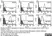 Anti Human CD105 Antibody, clone SN6 thumbnail image 37
