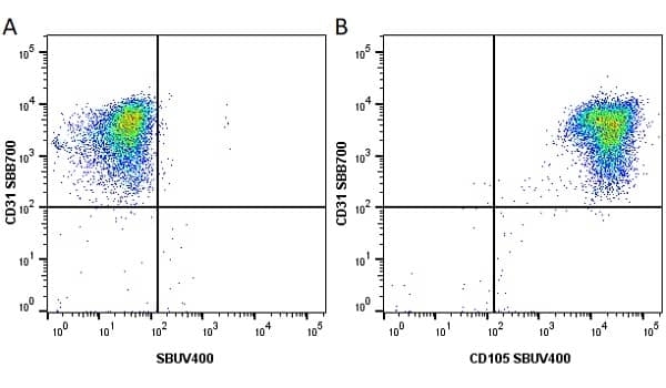 Anti Human CD105 Antibody, clone SN6 gallery image 43