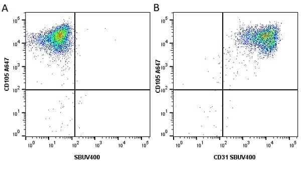 Anti Human CD105 Antibody, clone SN6 gallery image 44