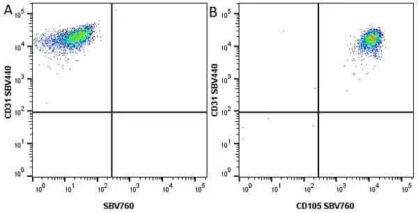 Anti Human CD105 Antibody, clone SN6 gallery image 44