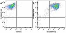 Anti Human CD105 Antibody, clone SN6 gallery image 45
