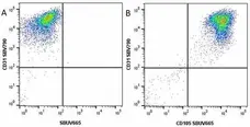 Anti Human CD105 Antibody, clone SN6 gallery image 46