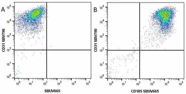 Anti Human CD105 Antibody, clone SN6 gallery image 46