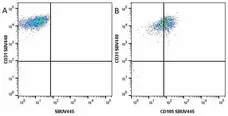 Anti Human CD105 Antibody, clone SN6 gallery image 48