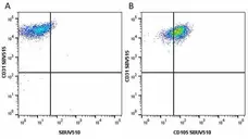 Anti Human CD105 Antibody, clone SN6 gallery image 53