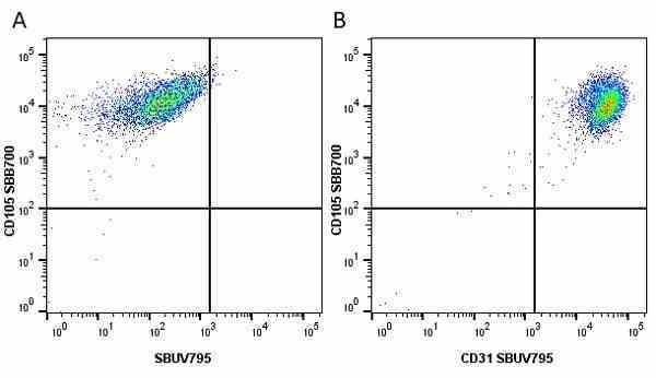 Anti Human CD105 Antibody, clone SN6 gallery image 53