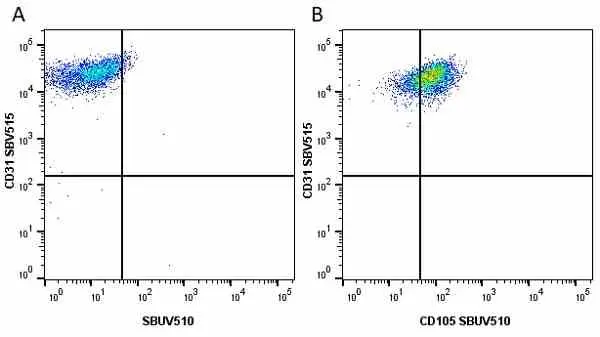 Anti Human CD105 Antibody, clone SN6 gallery image 53