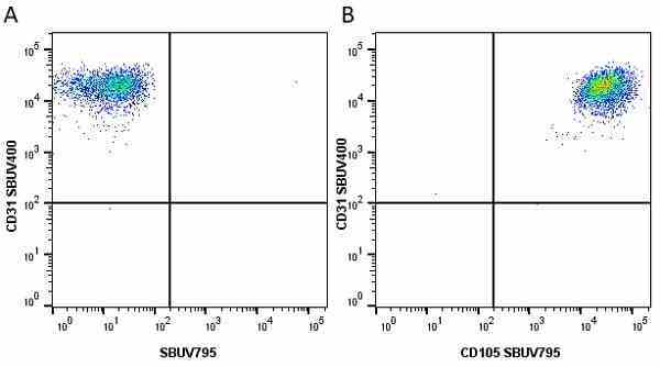 Anti Human CD105 Antibody, clone SN6 gallery image 54