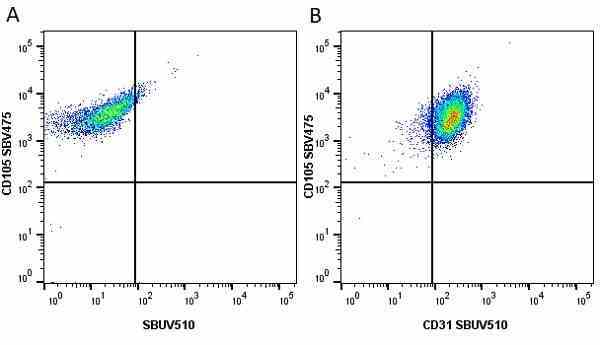 Anti Human CD105 Antibody, clone SN6 gallery image 56