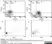Anti Human CD105 Antibody, clone SN6 thumbnail image 6