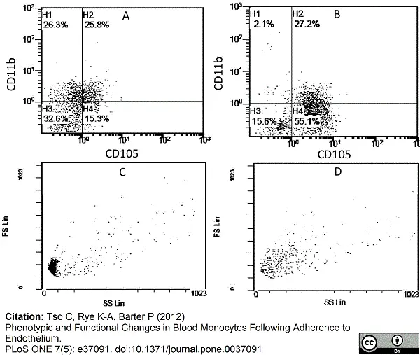 Anti Human CD105 Antibody, clone SN6 gallery image 6
