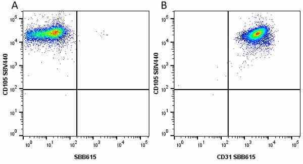 Anti Human CD105 Antibody, clone SN6 gallery image 60
