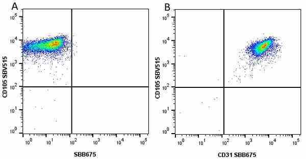 Anti Human CD105 Antibody, clone SN6 gallery image 62