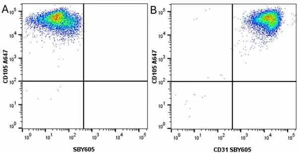 Anti Human CD105 Antibody, clone SN6 gallery image 64