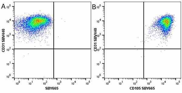 Anti Human CD105 Antibody, clone SN6 gallery image 68
