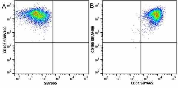 Anti Human CD105 Antibody, clone SN6 gallery image 69