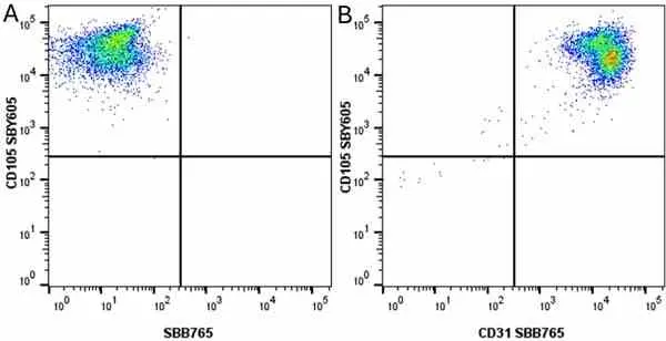 Anti Human CD105 Antibody, clone SN6 gallery image 71