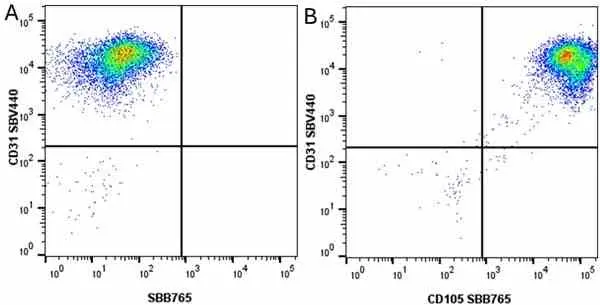 Anti Human CD105 Antibody, clone SN6 gallery image 72