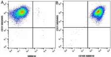 Anti Human CD105 Antibody, clone SN6 gallery image 74