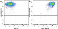 Anti Human CD105 Antibody, clone SN6 gallery image 75