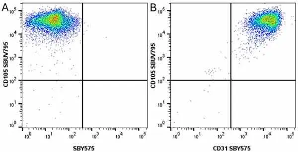 Anti Human CD105 Antibody, clone SN6 gallery image 75