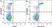 Anti Human CD105 Antibody, clone SN6 thumbnail image 76
