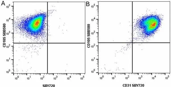 Anti Human CD105 Antibody, clone SN6 gallery image 77
