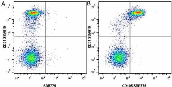 Anti Human CD105 Antibody, clone SN6 gallery image 78