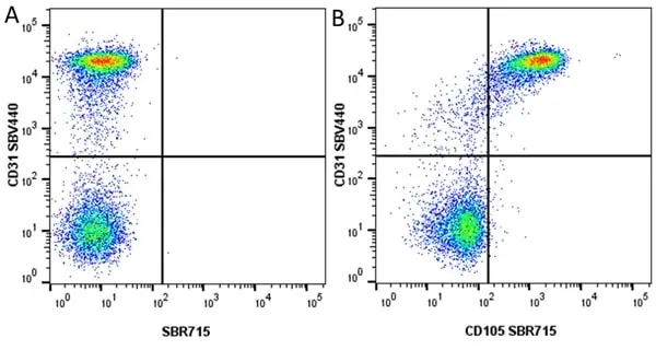 Anti Human CD105 Antibody, clone SN6 gallery image 83