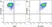 Anti Human CD105 Antibody, clone SN6 thumbnail image 84