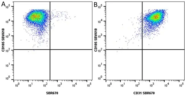 Anti Human CD105 Antibody, clone SN6 gallery image 84