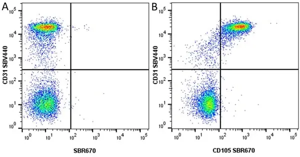 Anti Human CD105 Antibody, clone SN6 gallery image 85