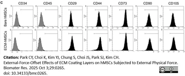 Anti Human CD105 Antibody, clone SN6 gallery image 86