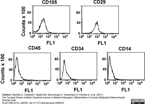 Anti Human CD105 Antibody, clone SN6 gallery image 9