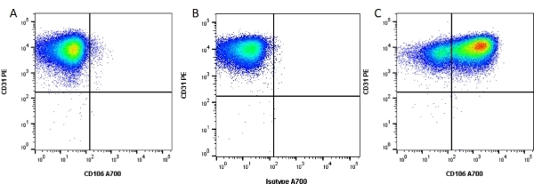 Anti Human CD106 Antibody, clone 1.G11B1 gallery image 2