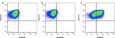 Anti Human CD106 Antibody, clone 1.G11B1 gallery image 3